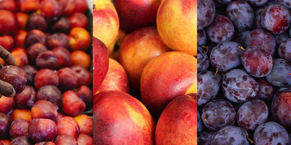 Drupacee, export da record per il Cile